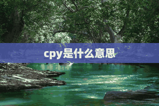 cpy是什么意思